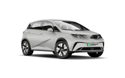 [BYD EV DOLPHIN] BYD EV DOLPHIN